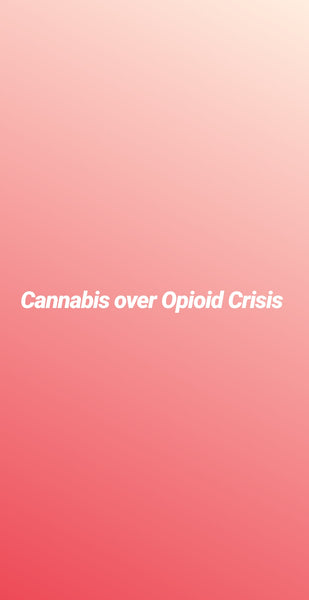 Can Cannabis Help the Opioid Crisis?