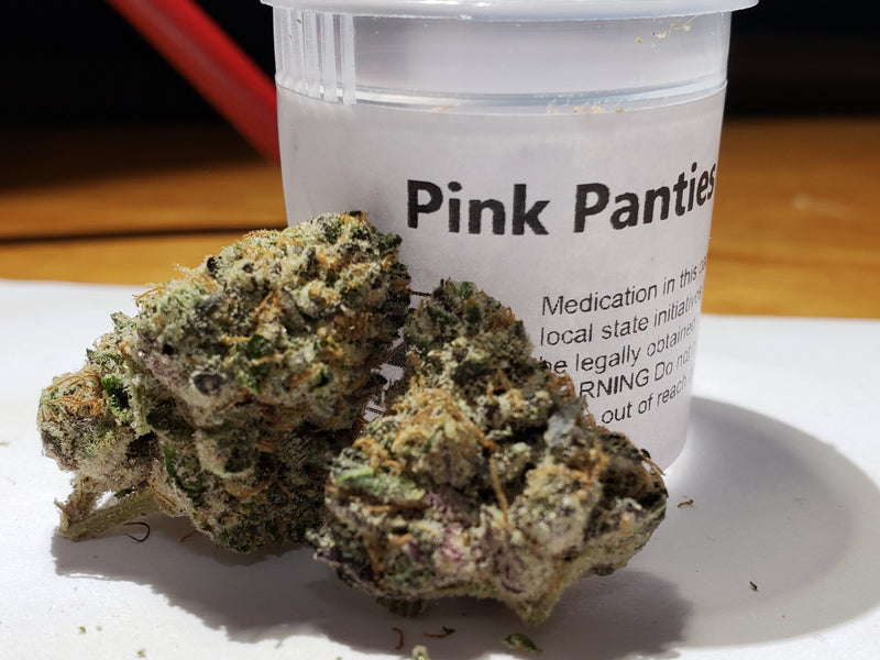 Pink Panties Strain Review