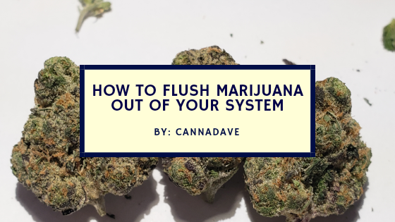 How to Flush Marijuana Out of Your System