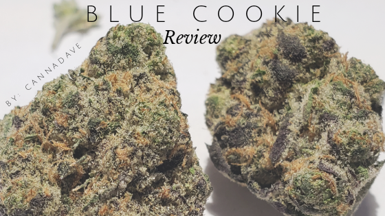 Blue Cookie Strain Review