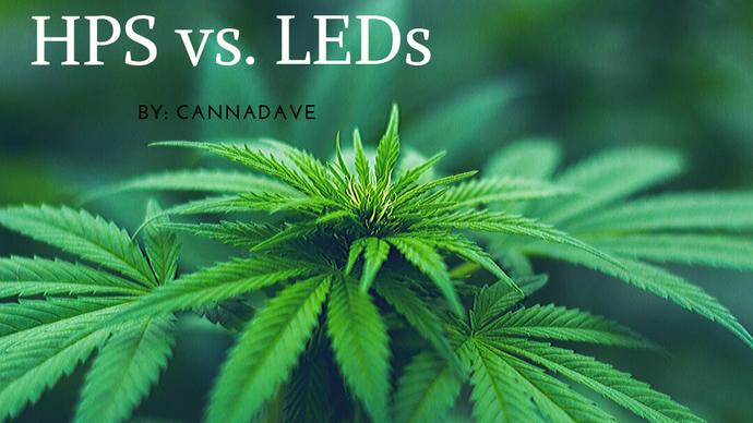 HPS vs. LEDs